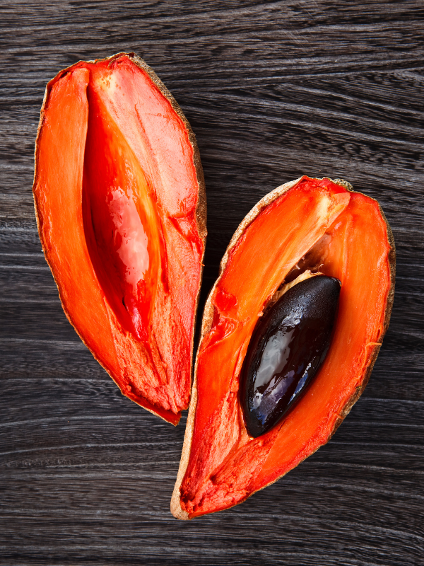 mamey fruit